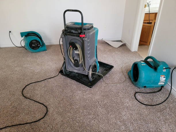 Best Water damage cleanup near me  in Sandpoint, ID