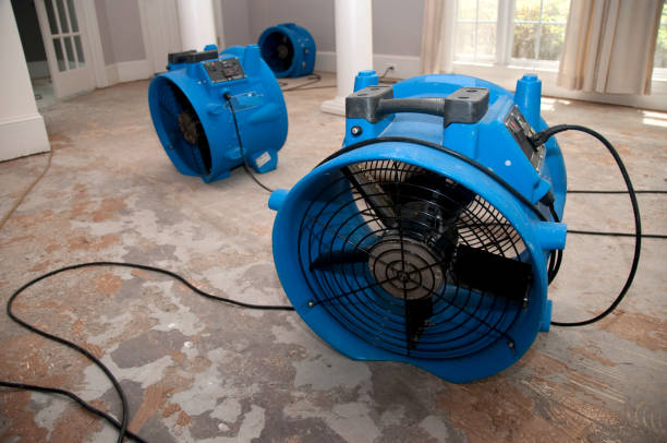 Best Ceiling water damage repair  in Sandpoint, ID