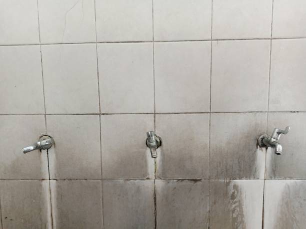  Sandpoint, ID Water damage restoration Pros