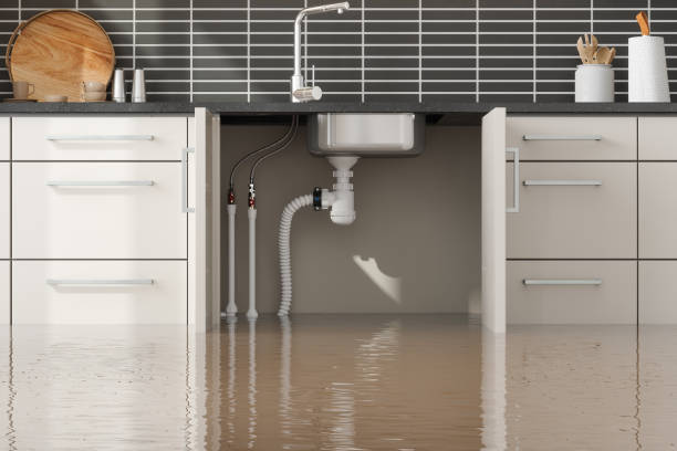 Best Water damage restoration cost  in Sandpoint, ID